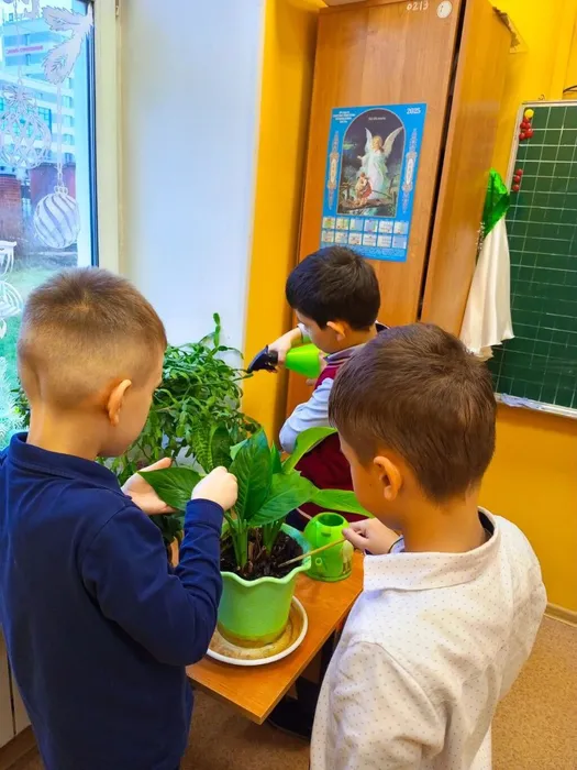 уход за цветами